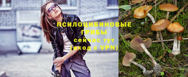 крисы Заволжье